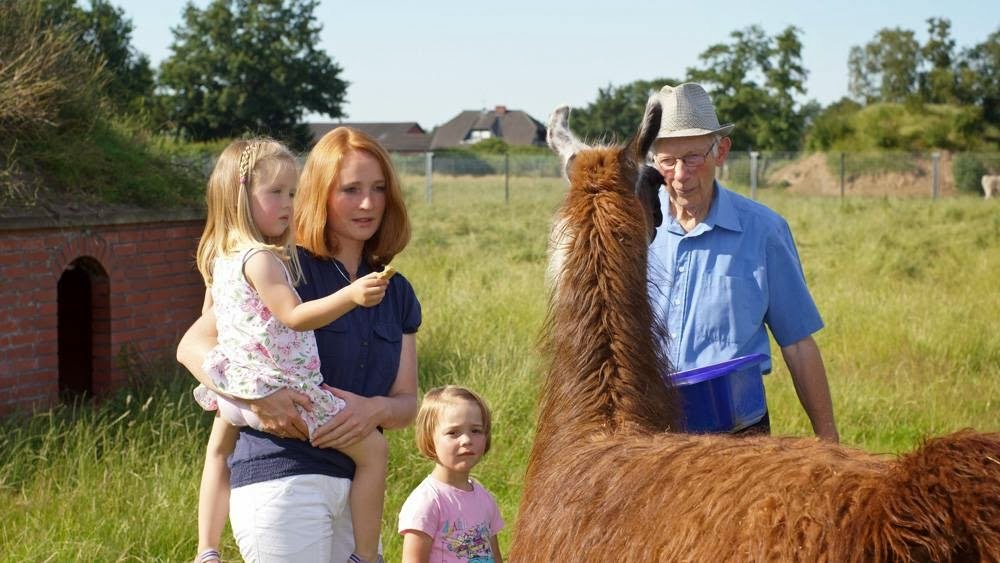 Campingplatz Neuengland